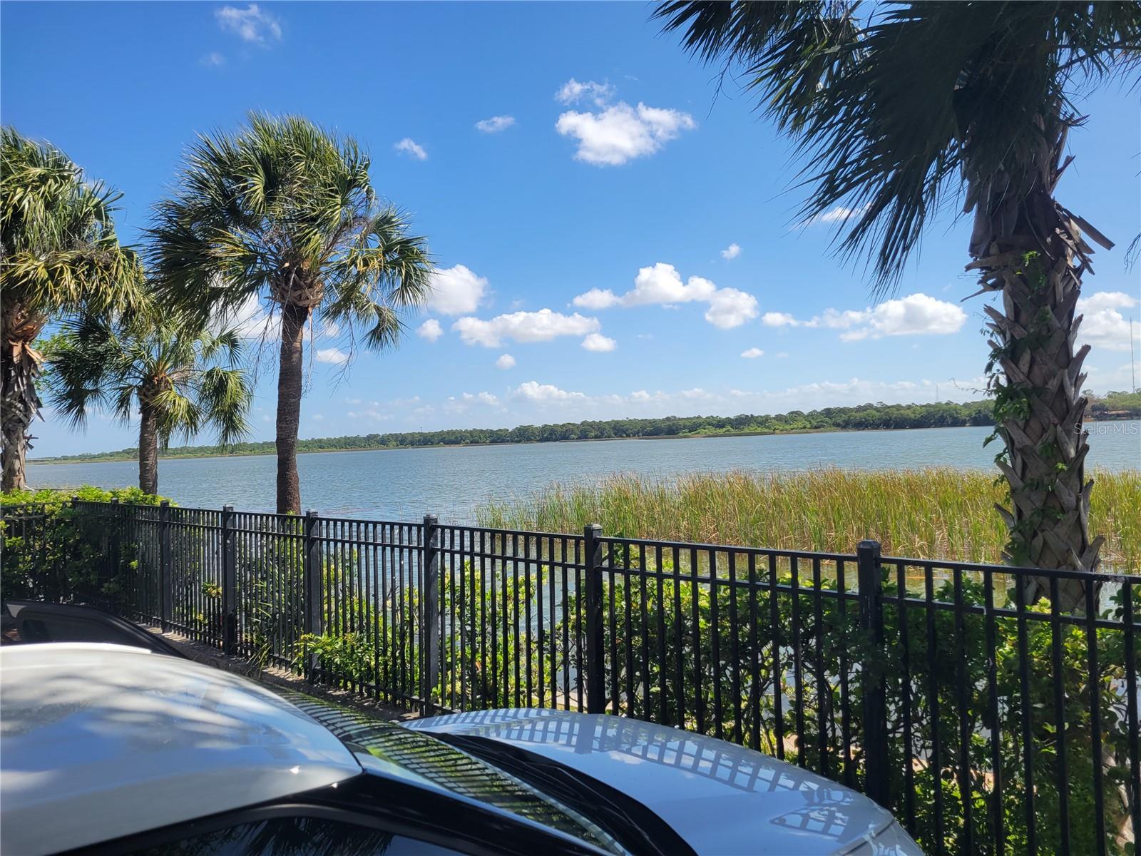 View of Lake Seminole