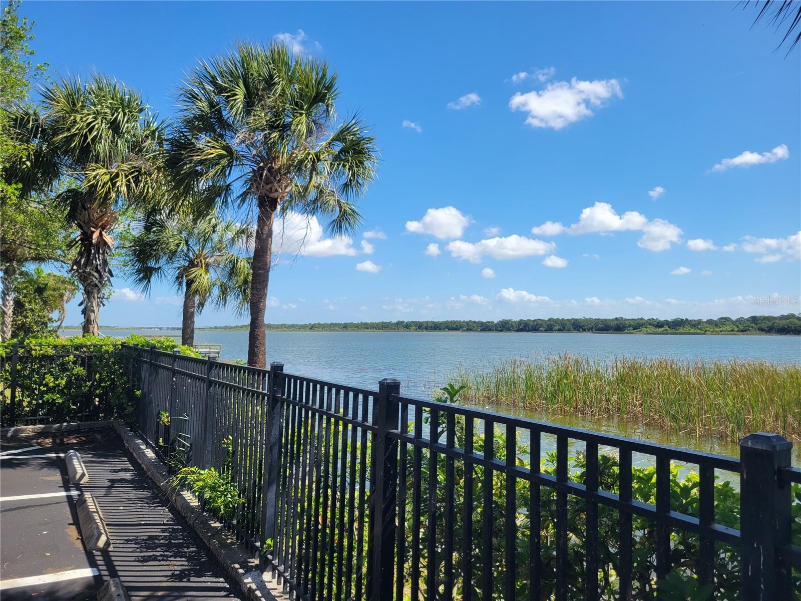 View of Lake Seminole