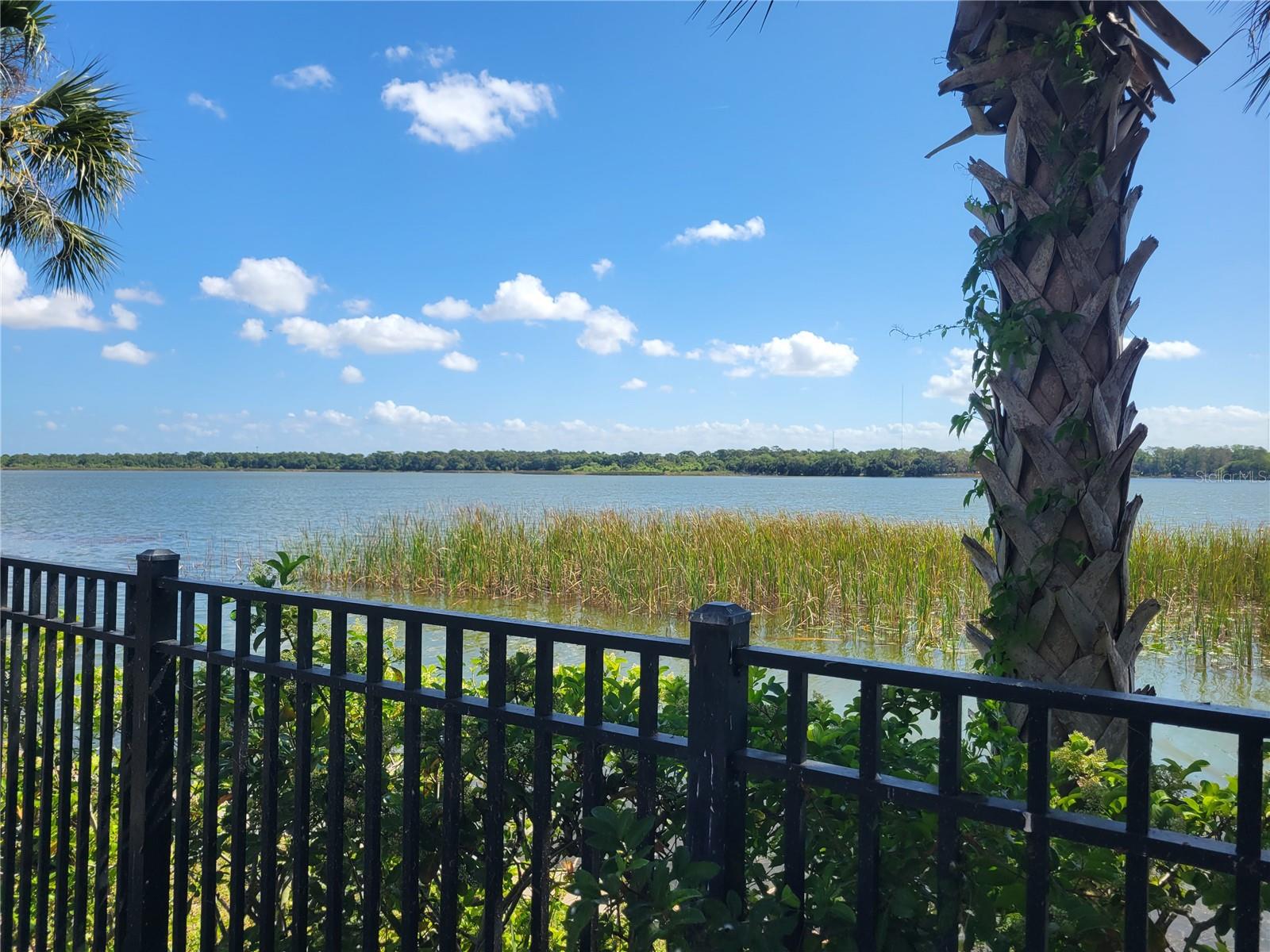 View of Lake Seminole