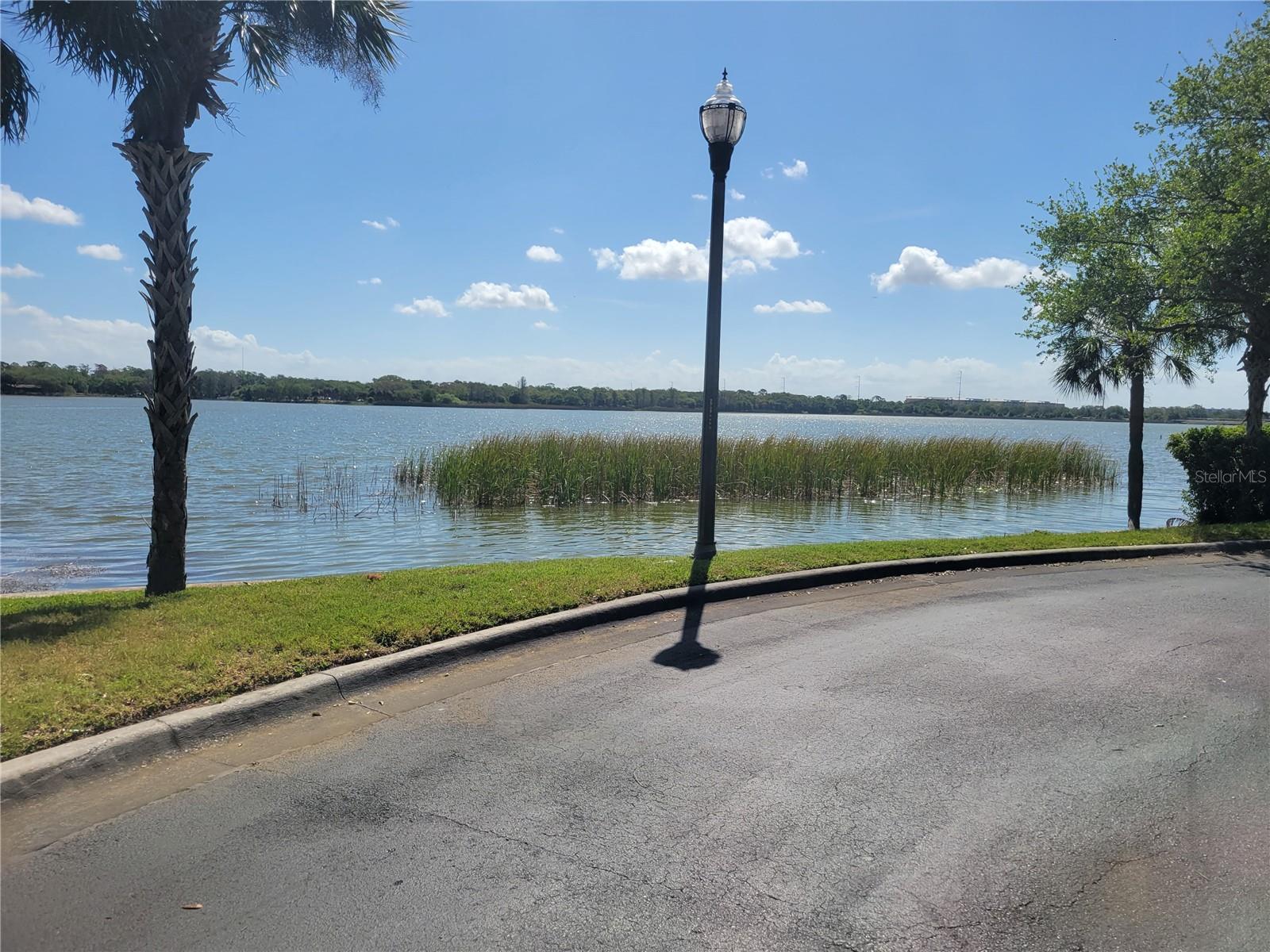 View of Lake Seminole