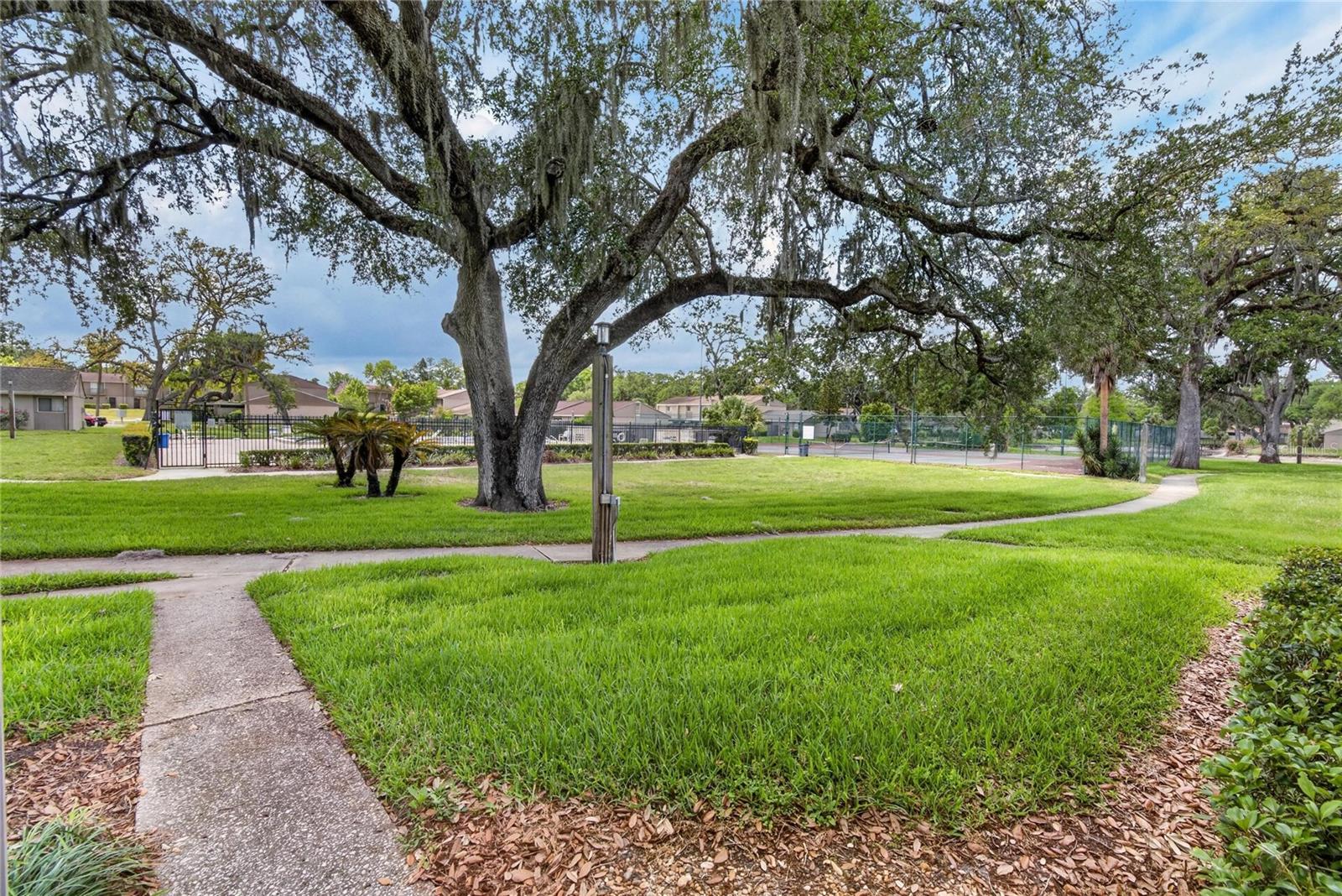 front door view out to pool/tennis/club house