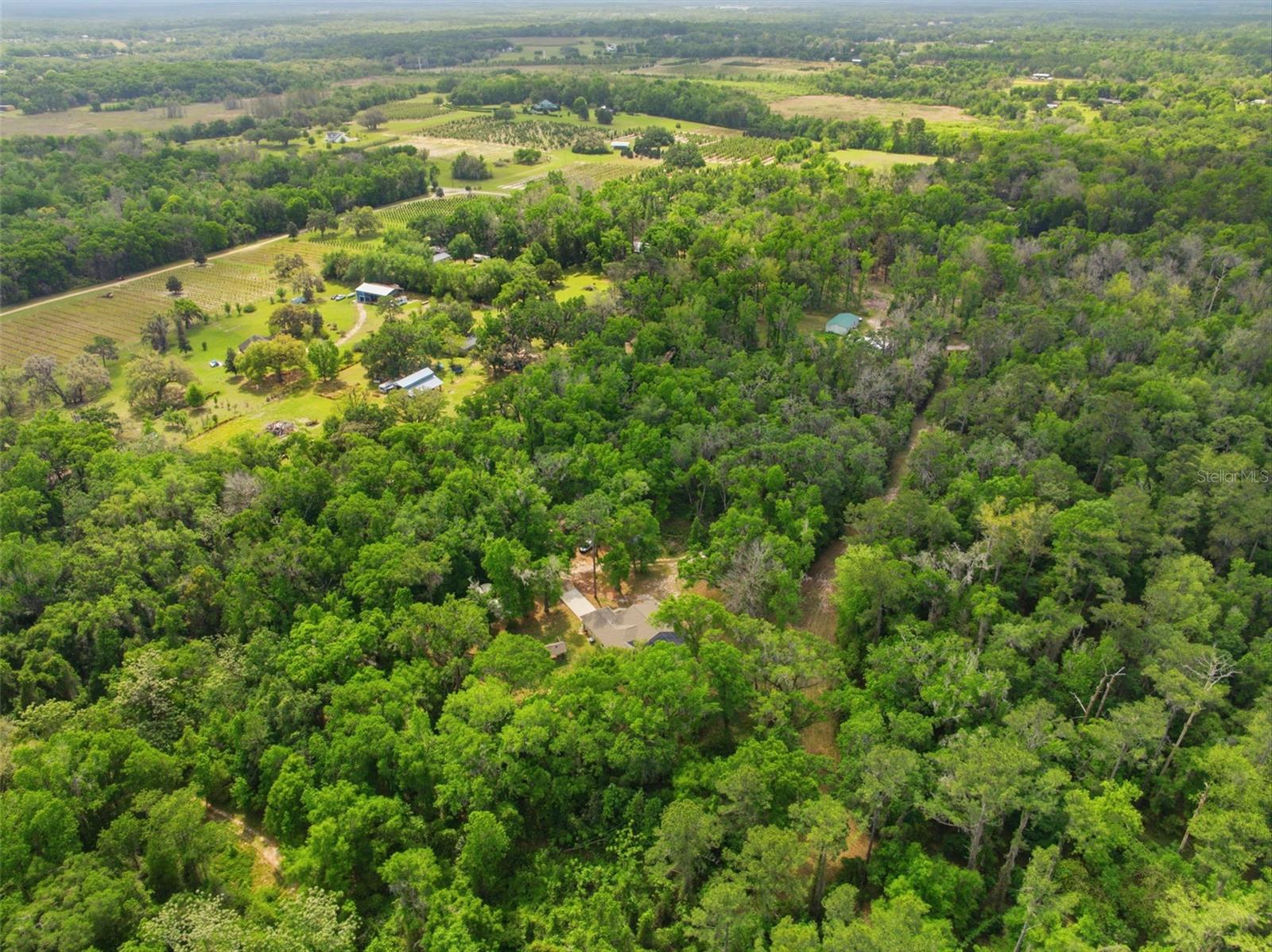 Aerial