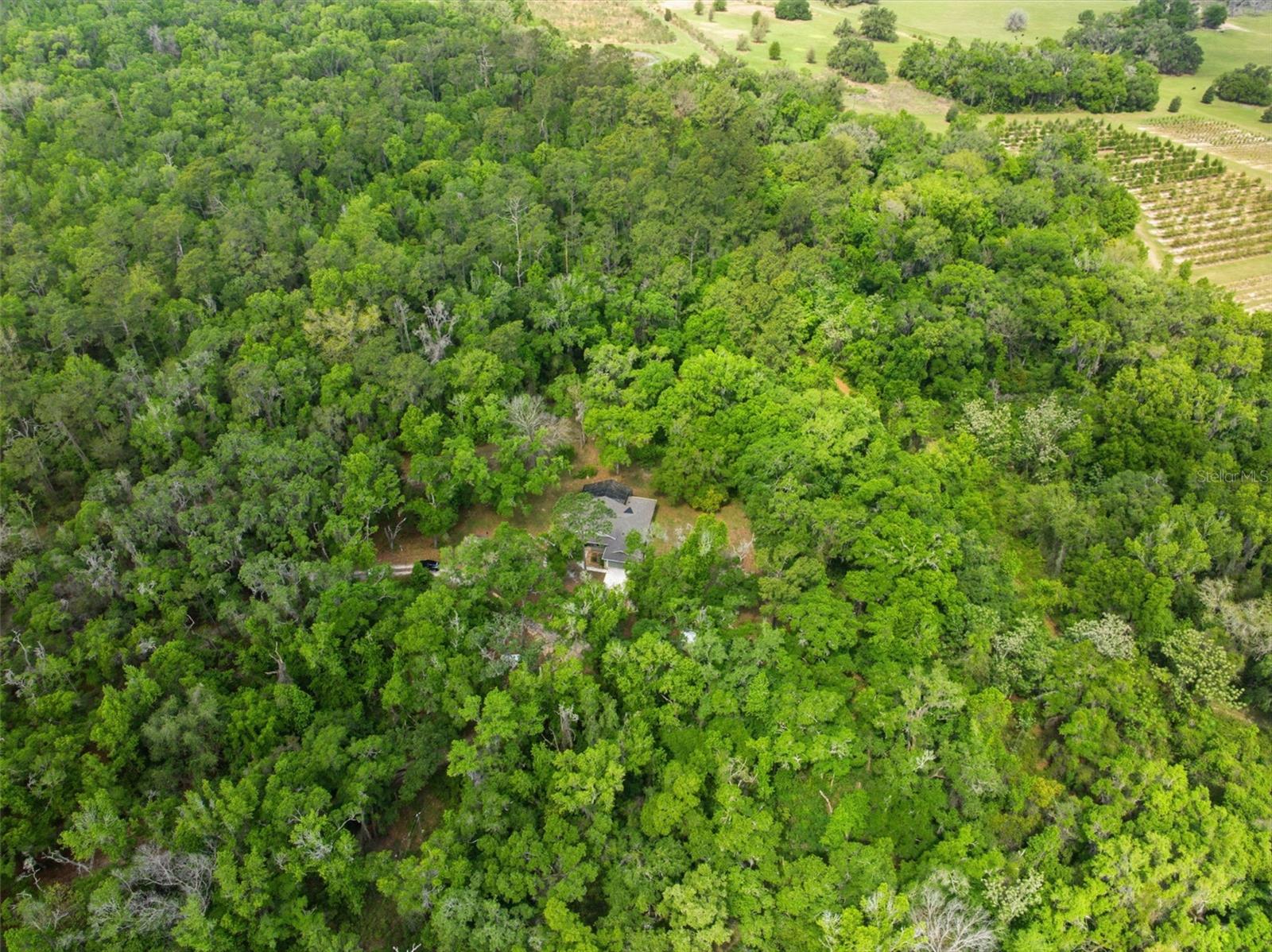 Aerial