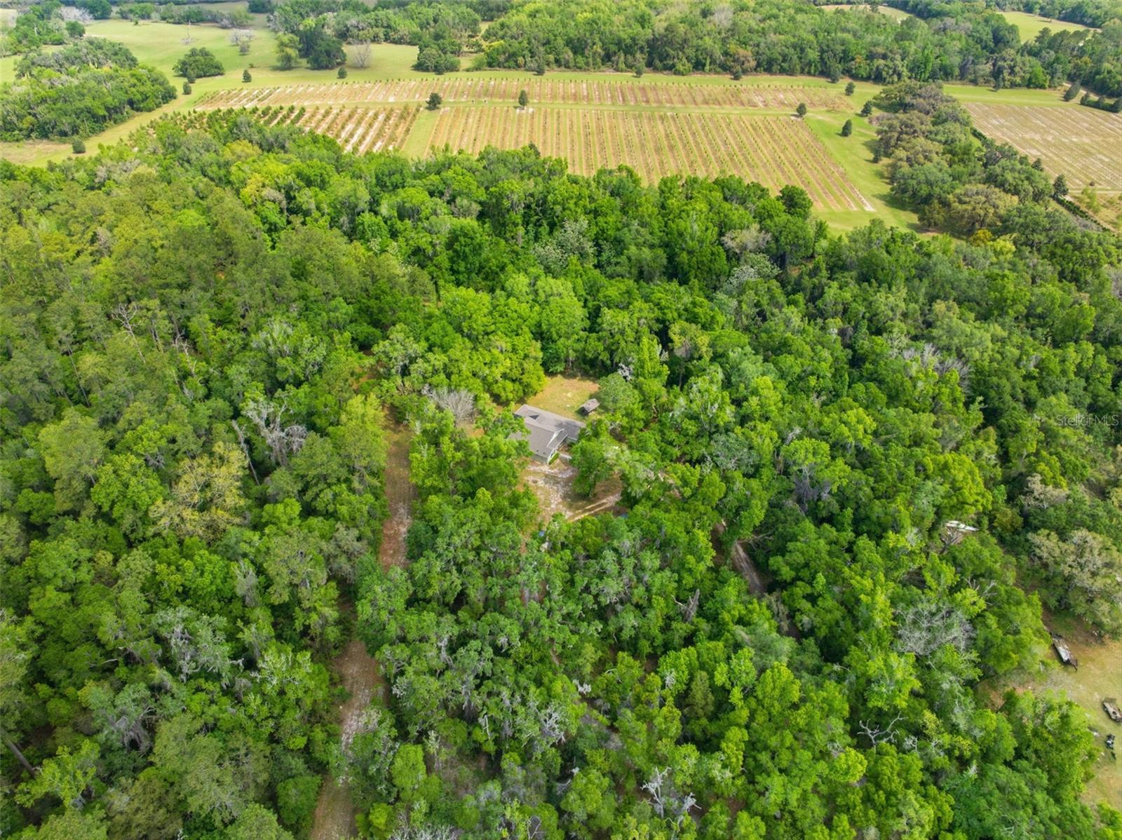 Aerial