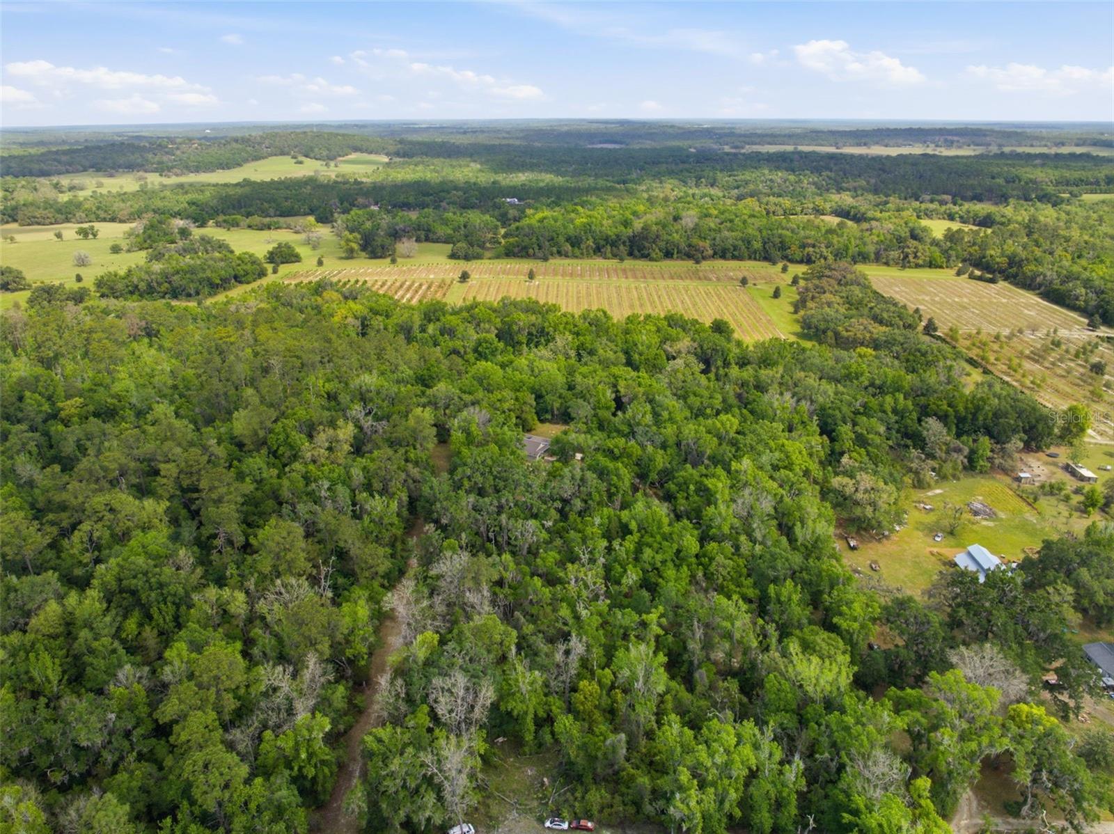 Aerial