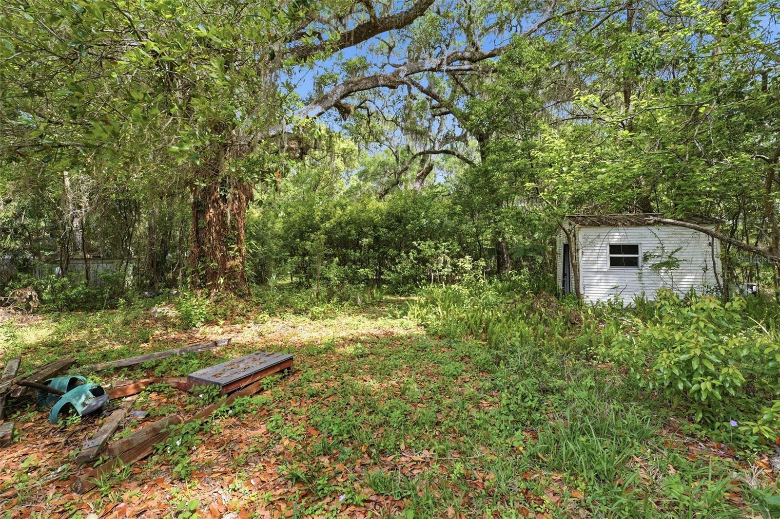 Rear Exterior and Shed