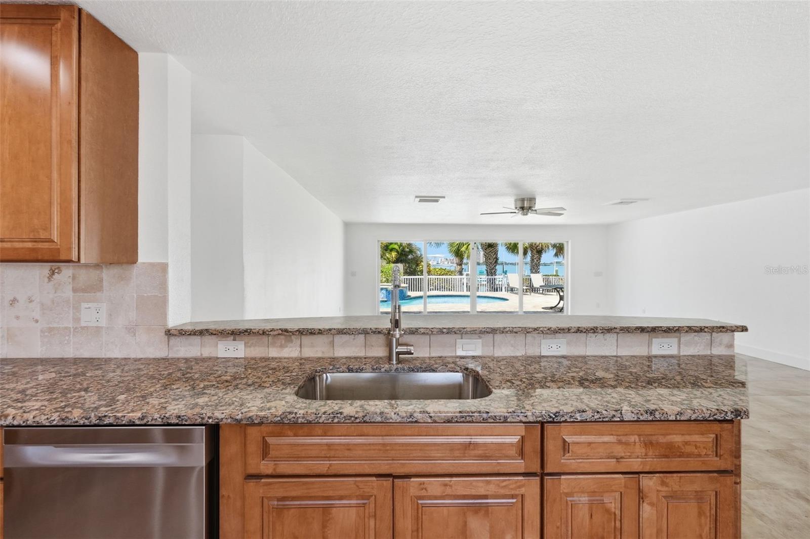 Tropical View from Kitchen