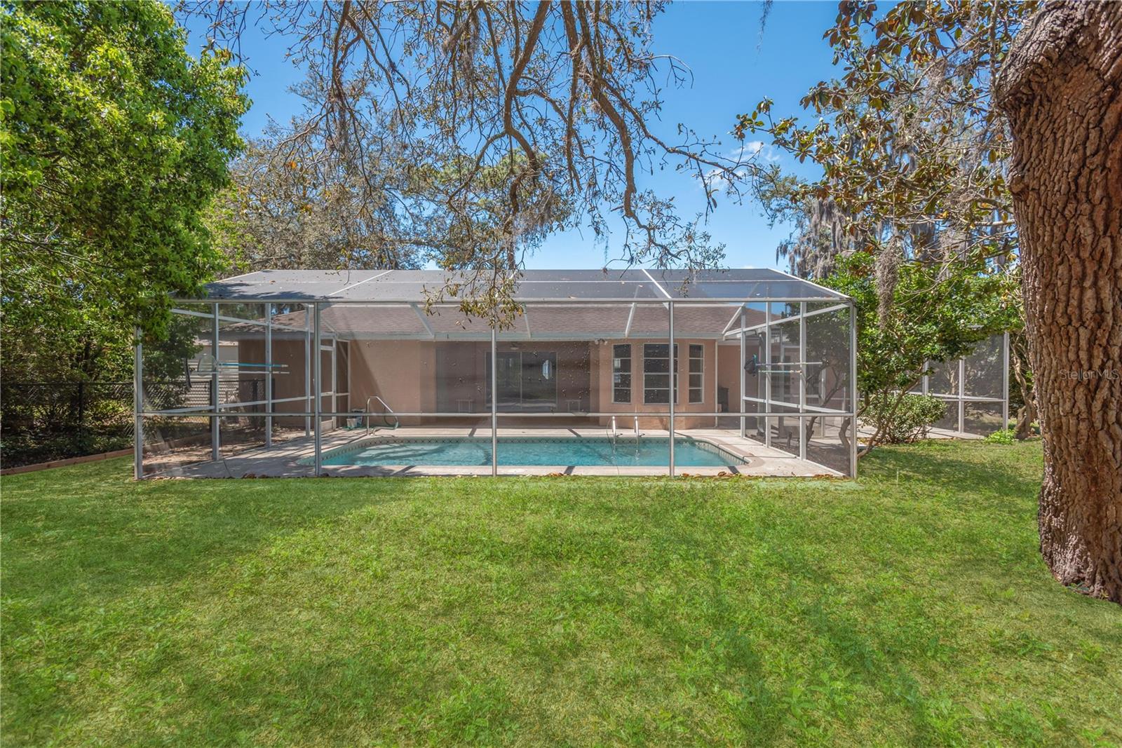 View from backyard to pool and cage.