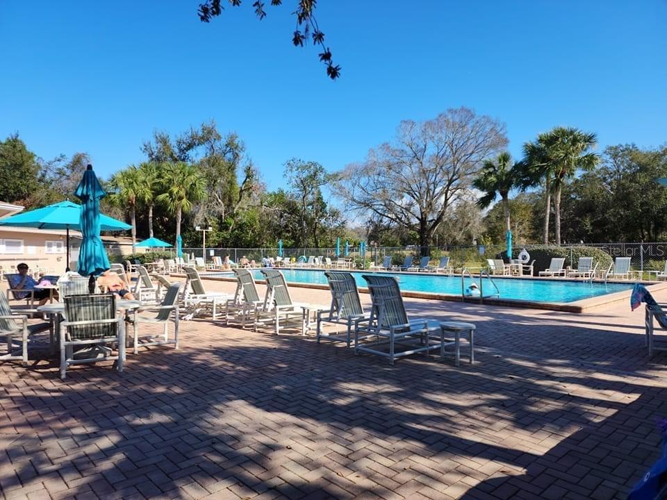 Heated Pool