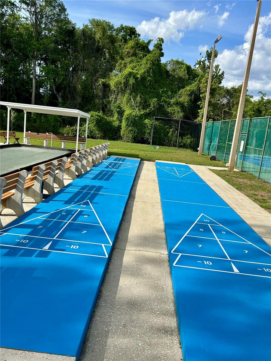 Shuffle Board