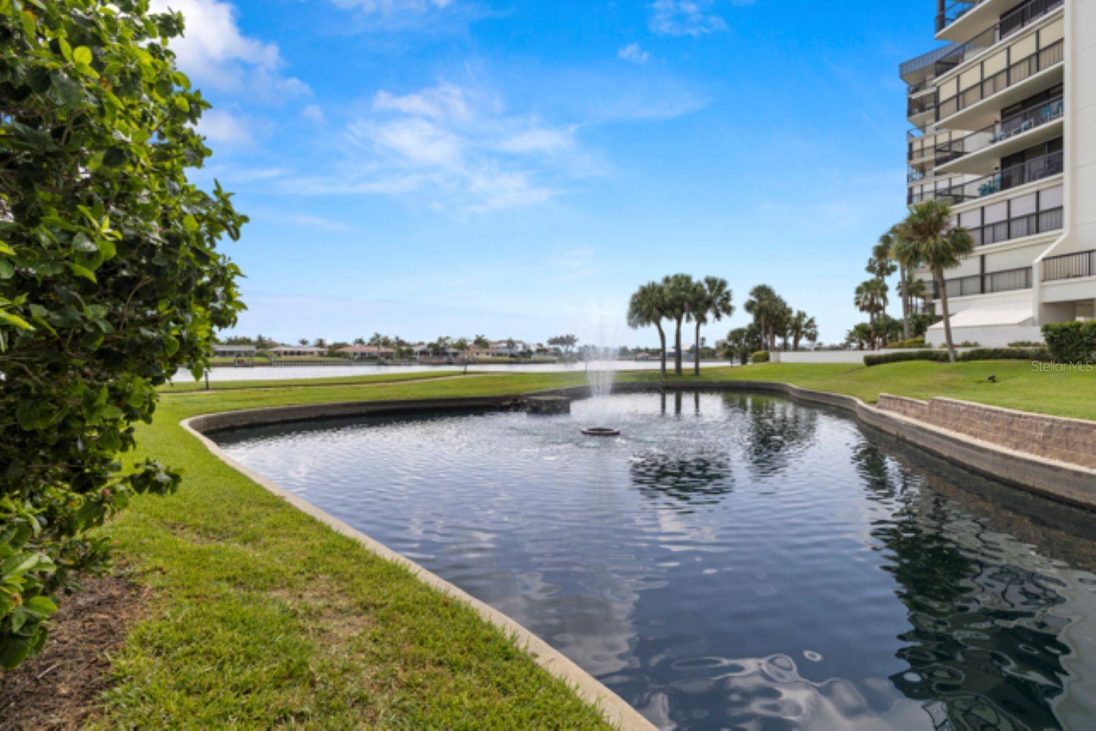 pond