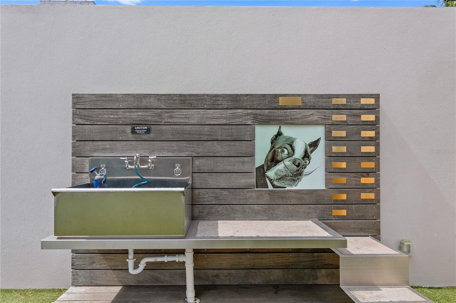 Dog Bath