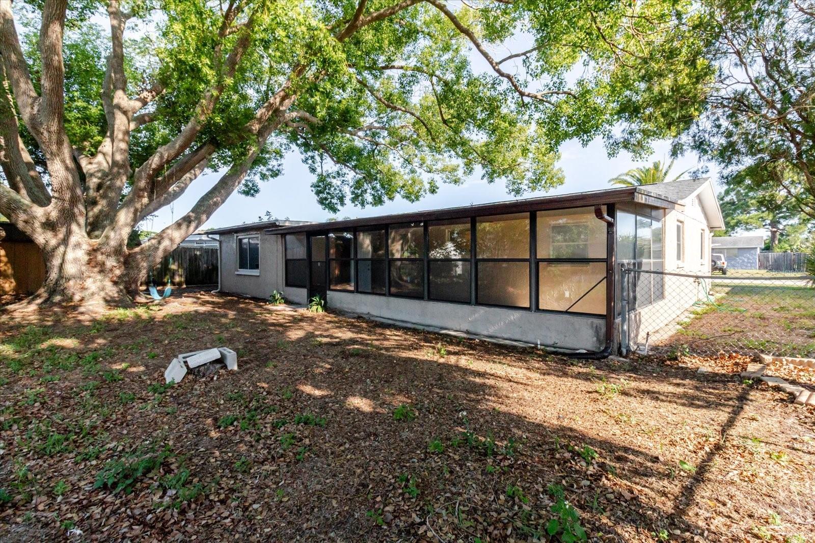 Back Of The House In The Back Yard