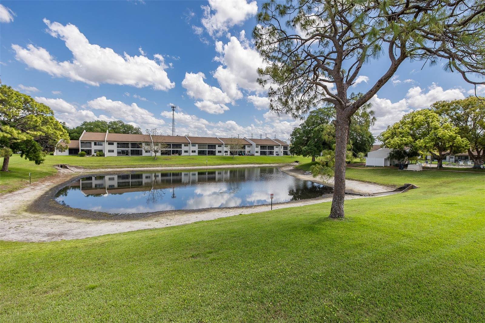 View from Florida room