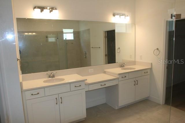 Primary Bathroom sinks