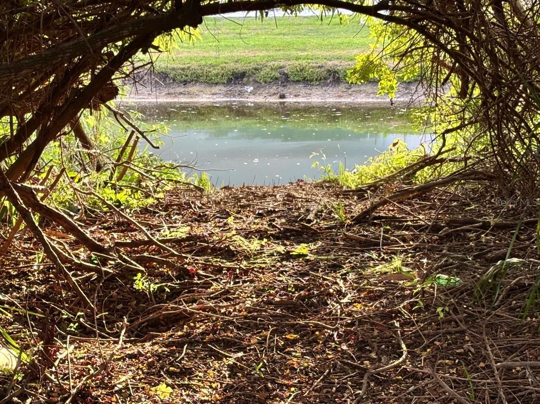 Private Backyard  Fishing/Nature Viewing Pond