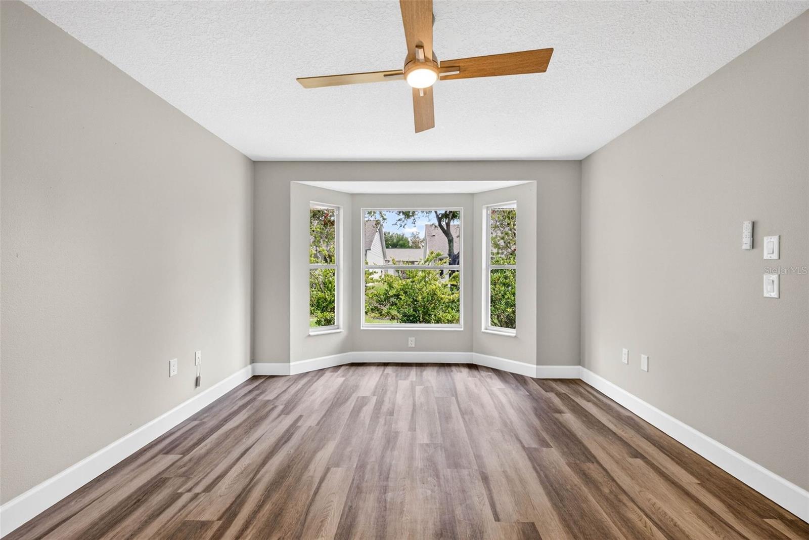 Same View Showing Privacy Landscaping