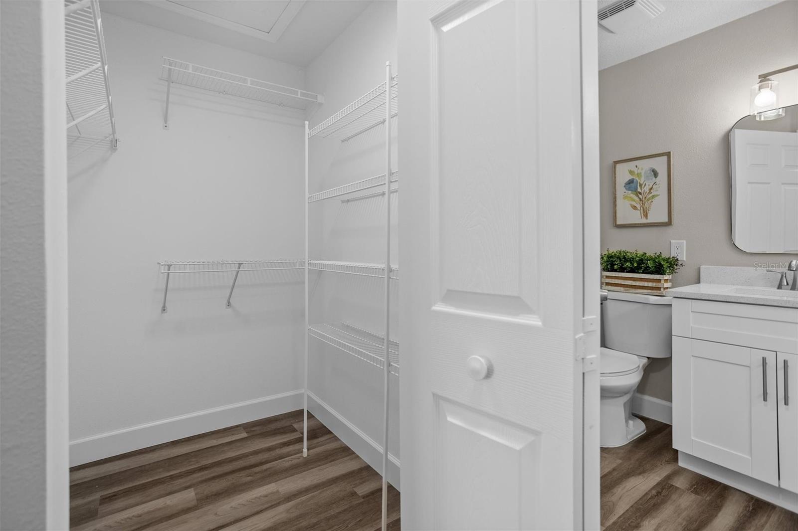 Master walk in closet