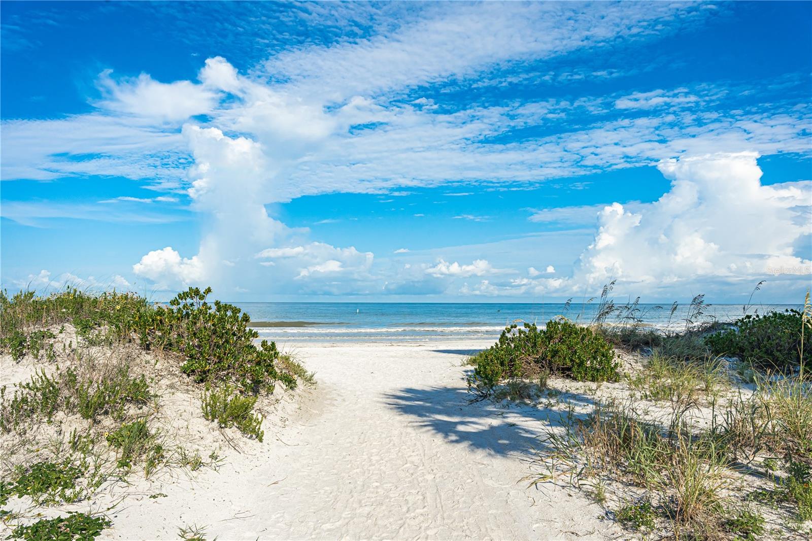Path to the Beach