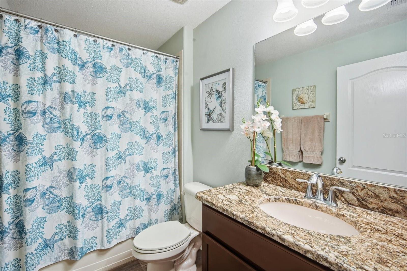 Guest bathroom