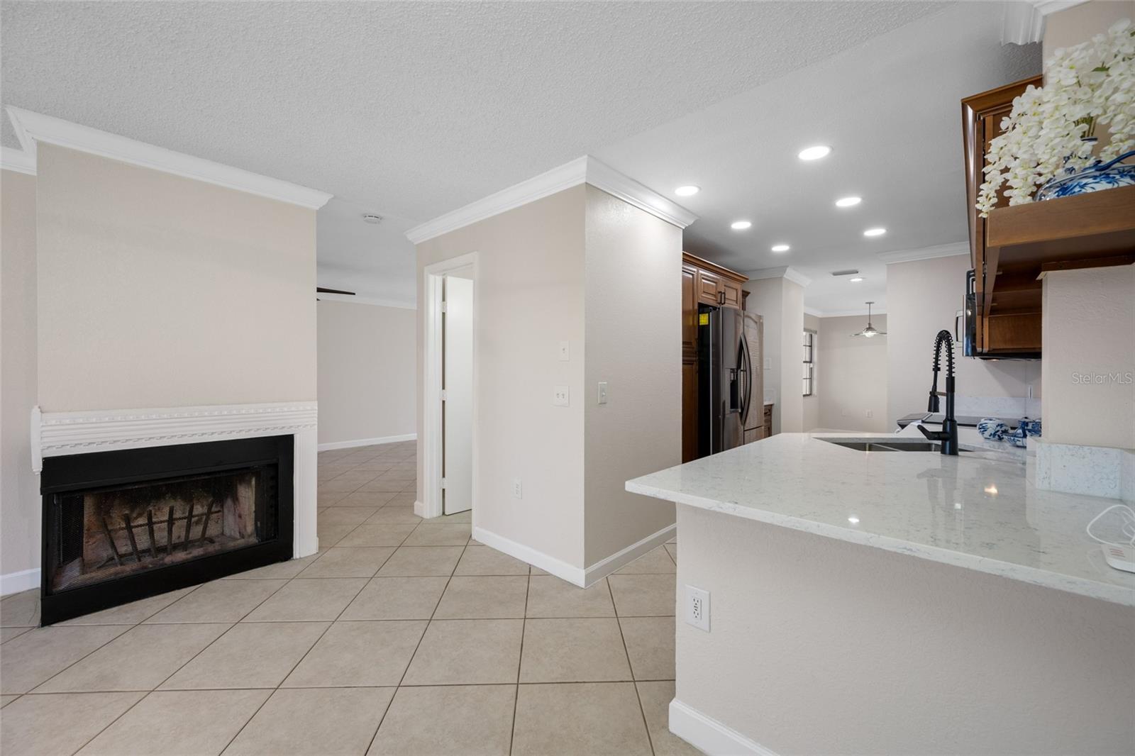 Family Room fireplace