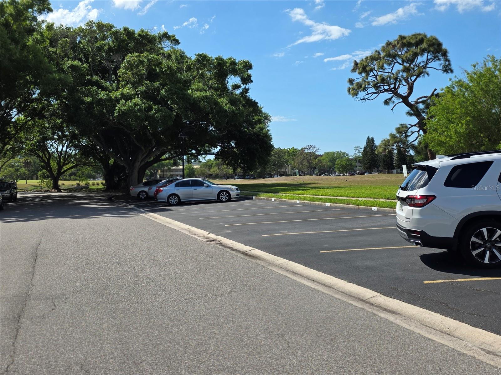 Guest Parking spots nearby