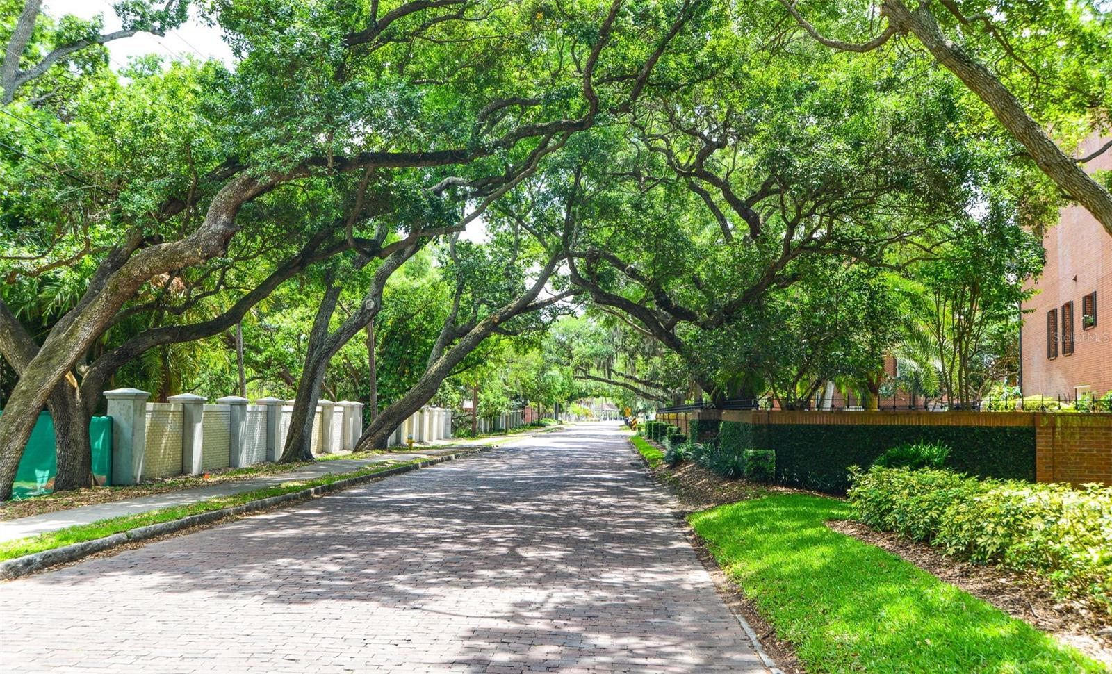 Tree Lined Neighborhood Streets