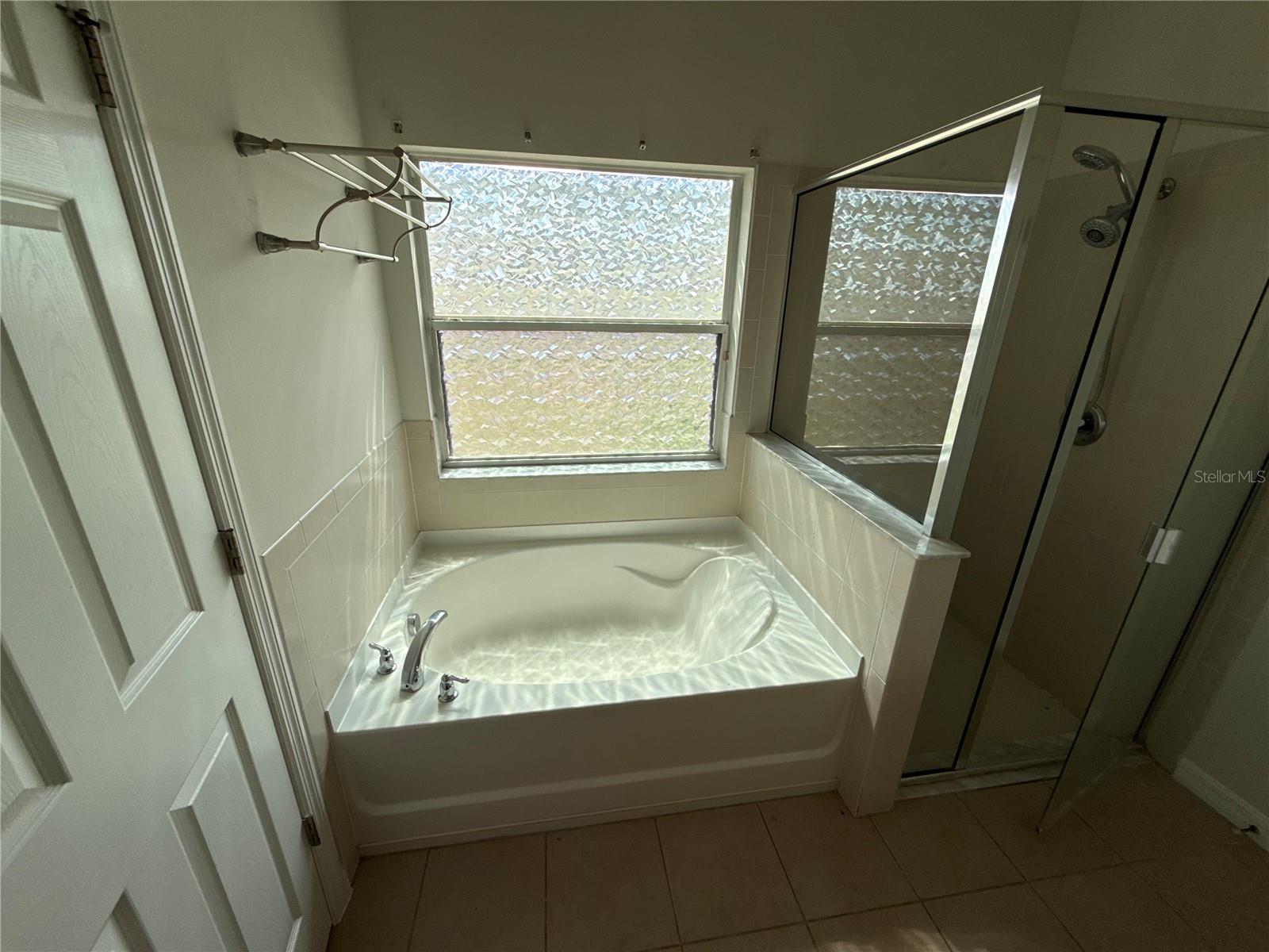 Master bth garden tub
