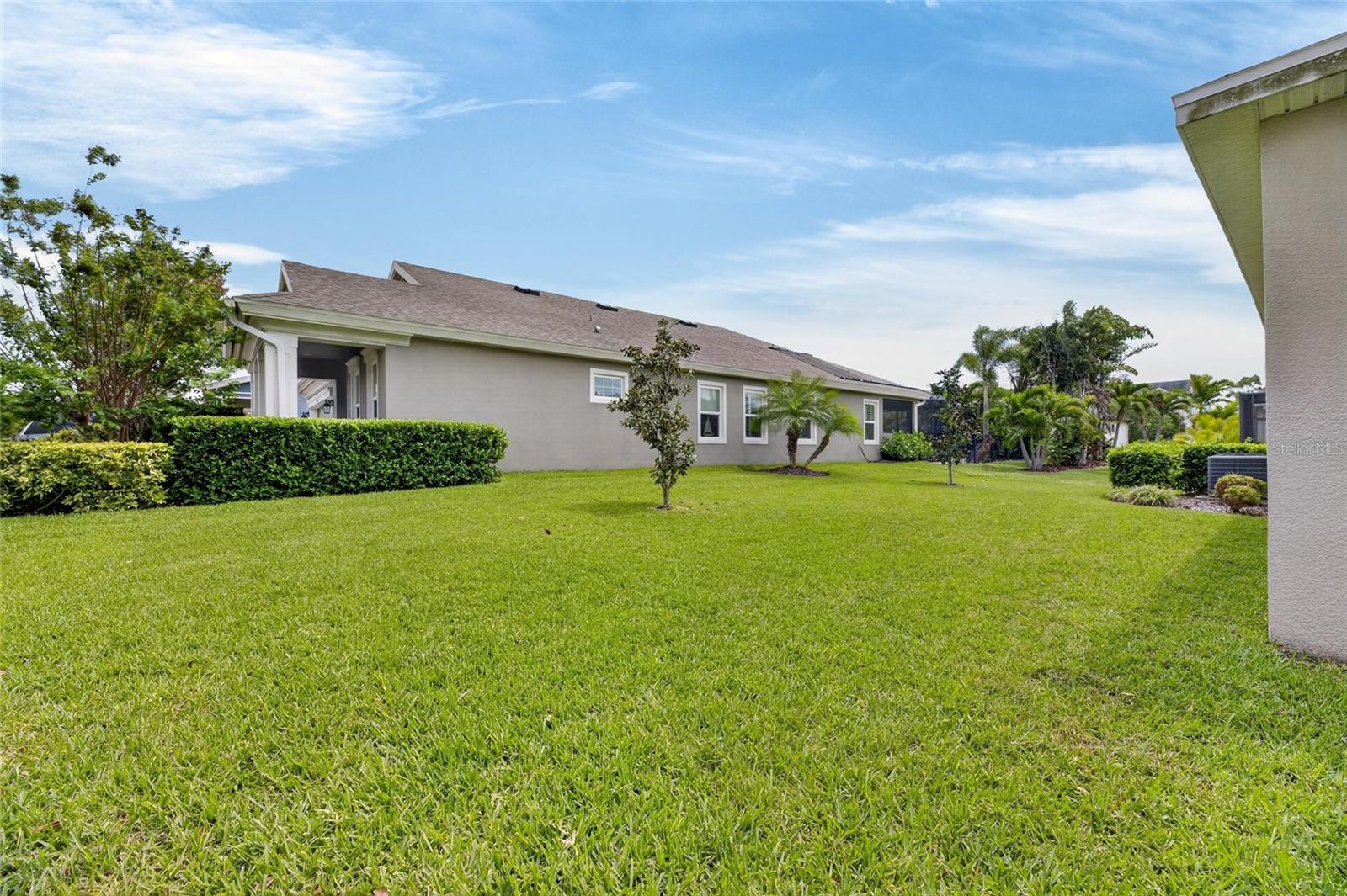 Exterior Rear Lawn