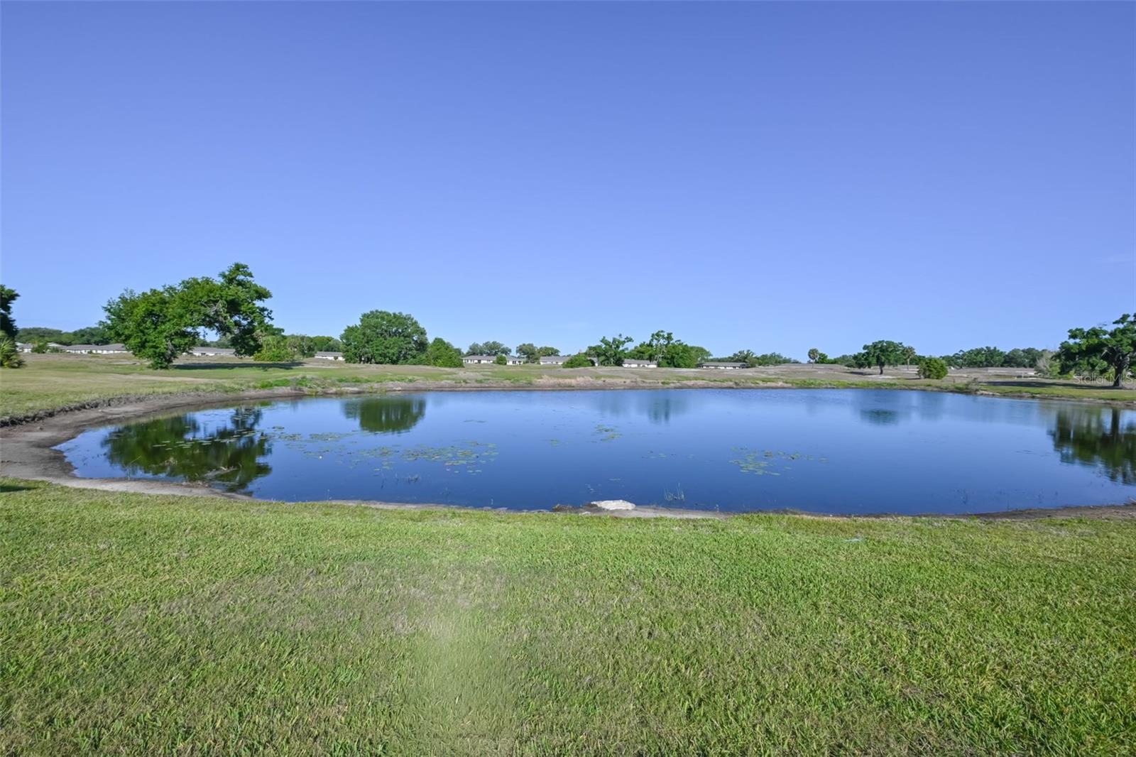 Water view