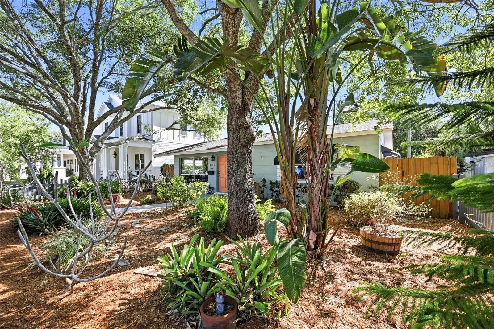Charming curb appeal with picket fence and shaded front yard