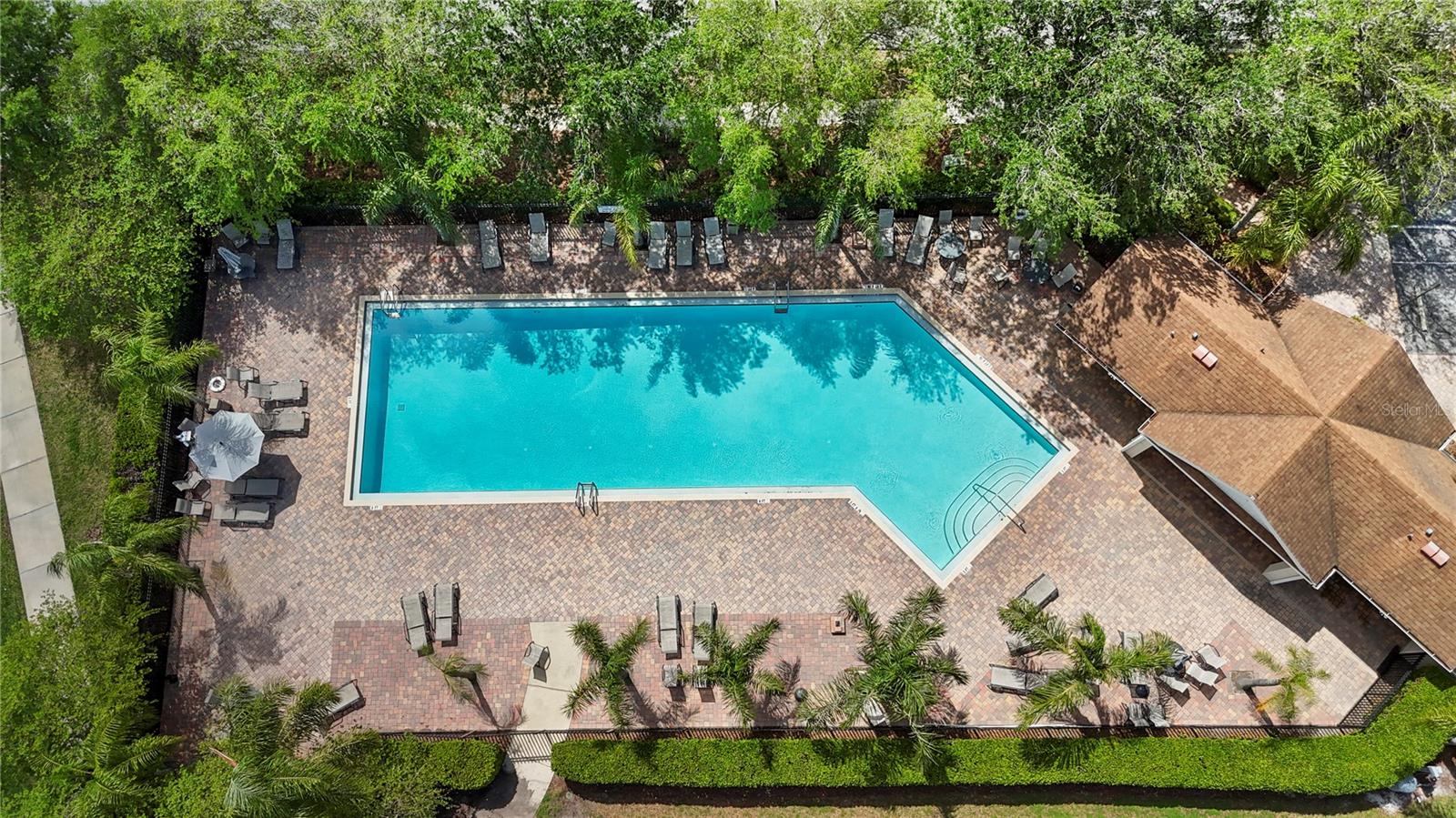 The community pool welcomes all residents!