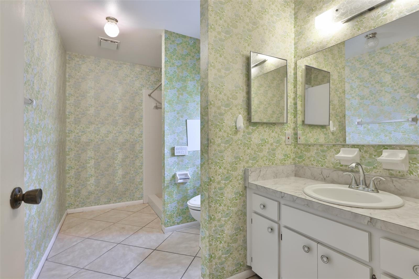 Primary Bath with Shower