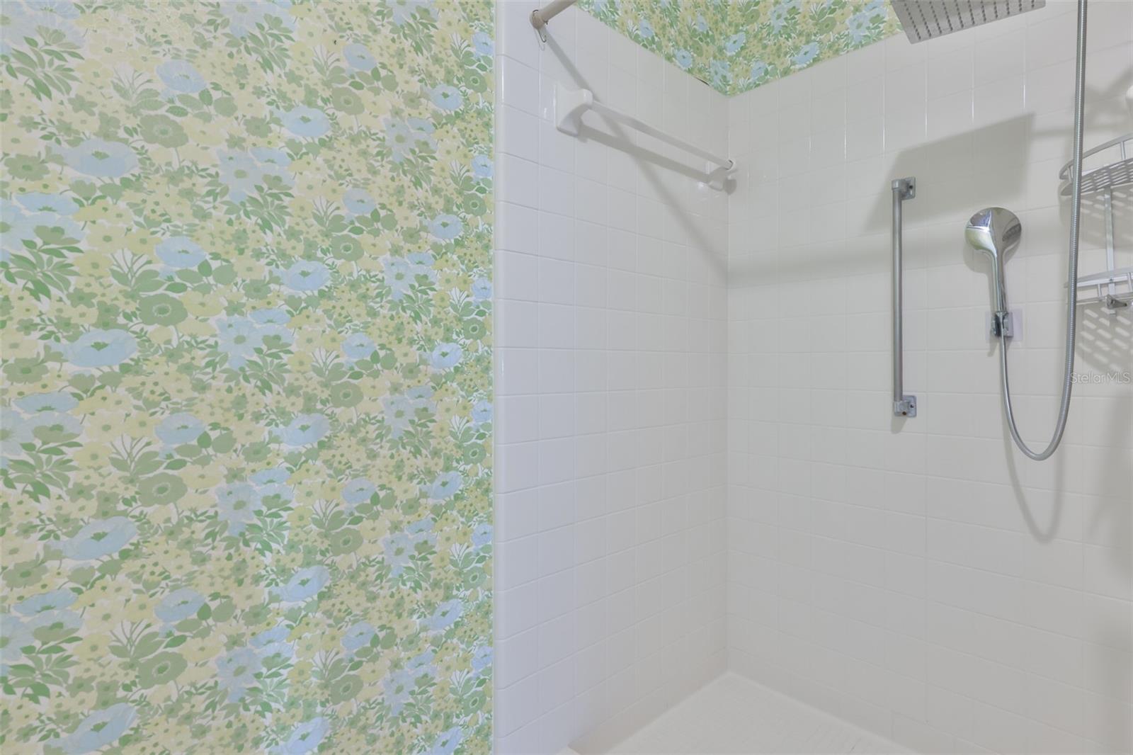 Primary Shower