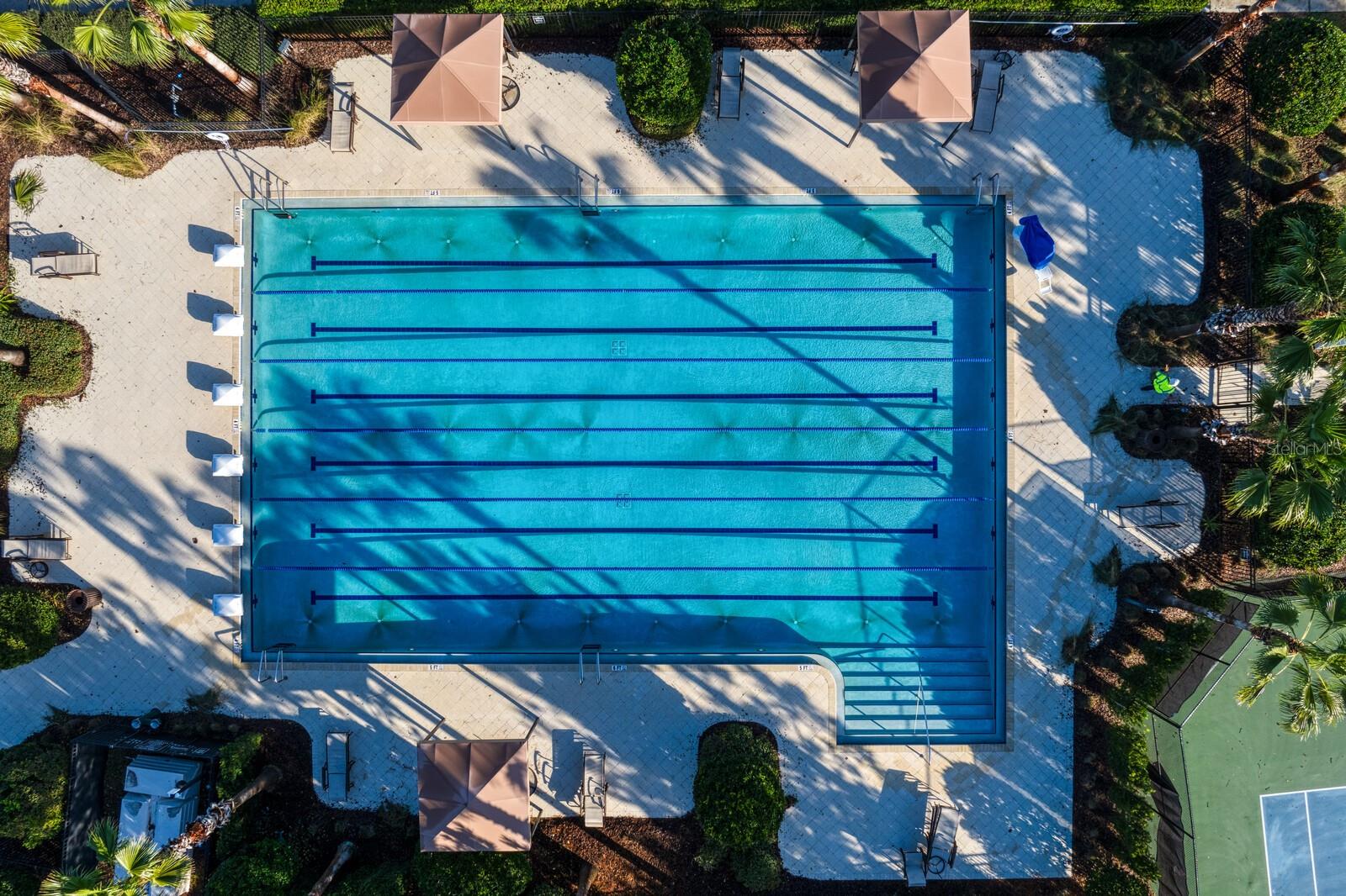 6 lane Jr-Olympic lap pool
