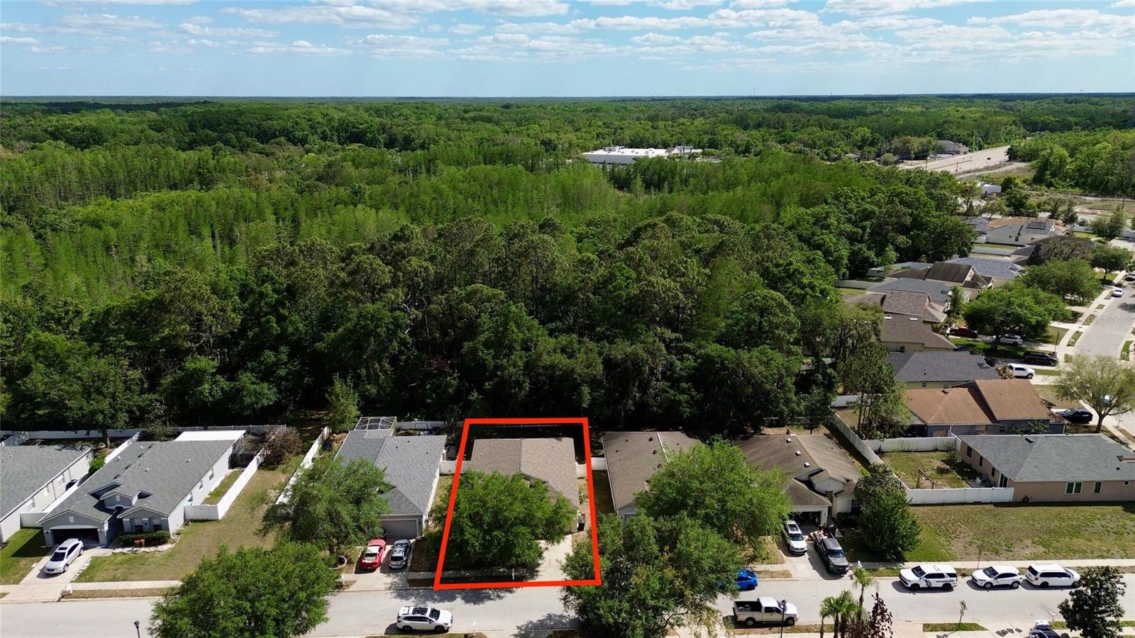 Backs to conservation area.