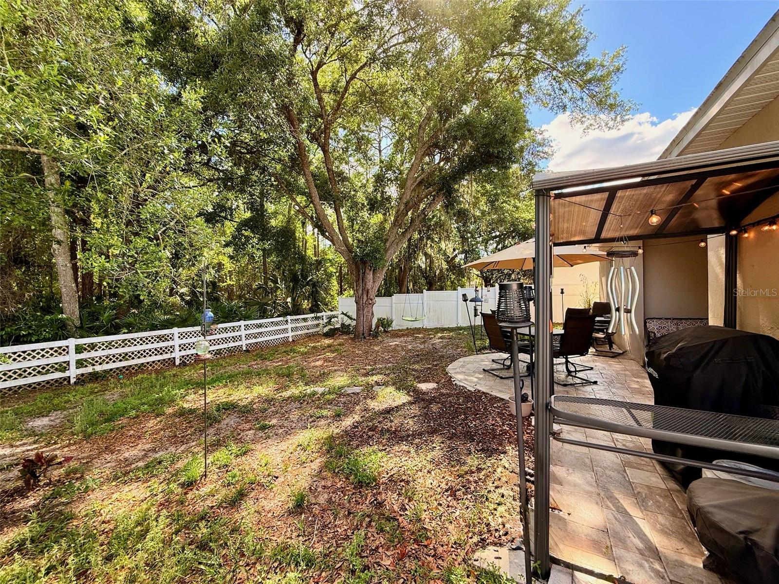 Conservation Area View, extended patio