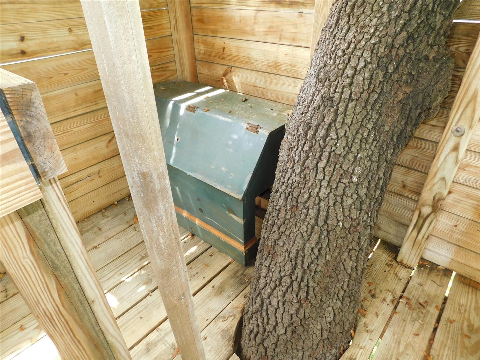 Small dog ramp to the treehouse