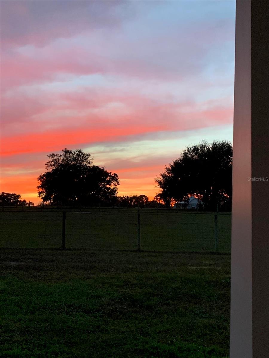 View from Front Porch