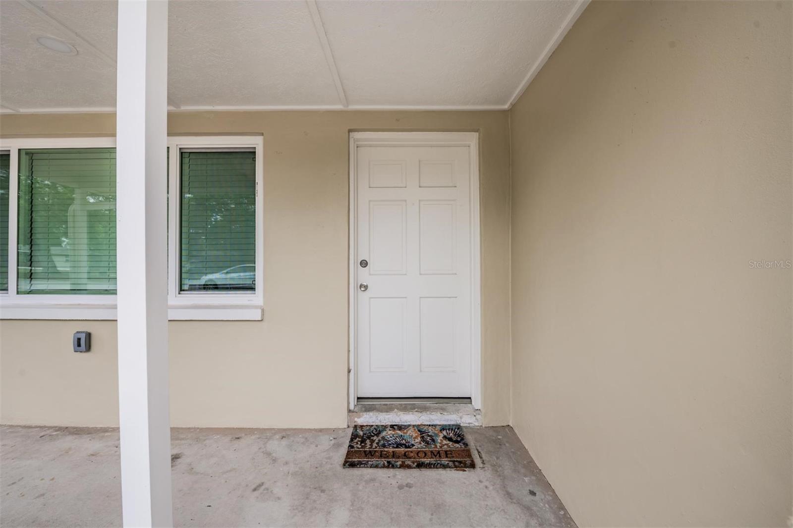 New front door (new exterior and interior paint)