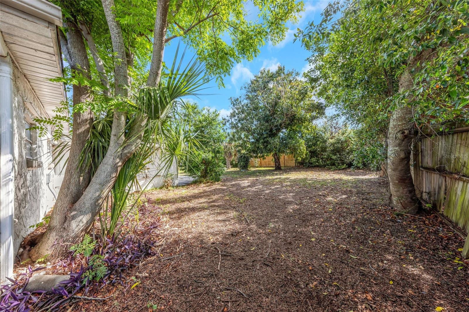 Rear Yard