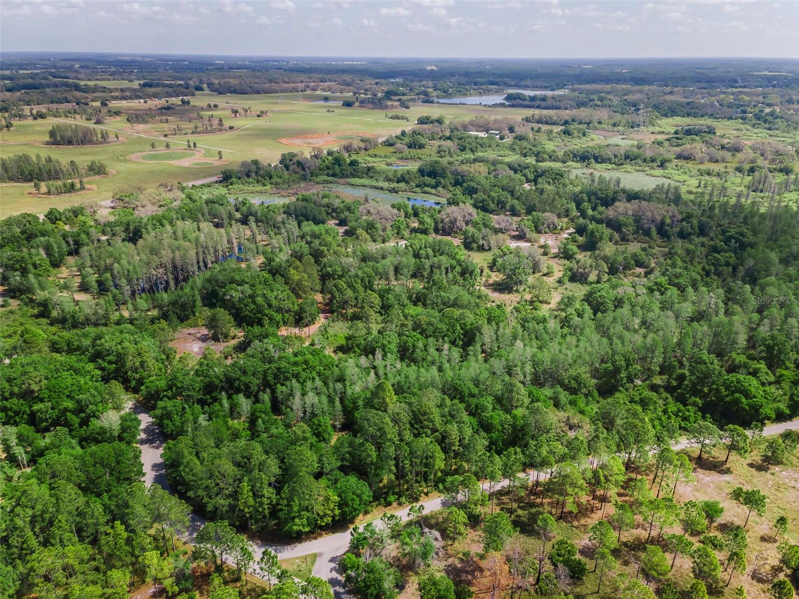 Brooker Creek Preserve