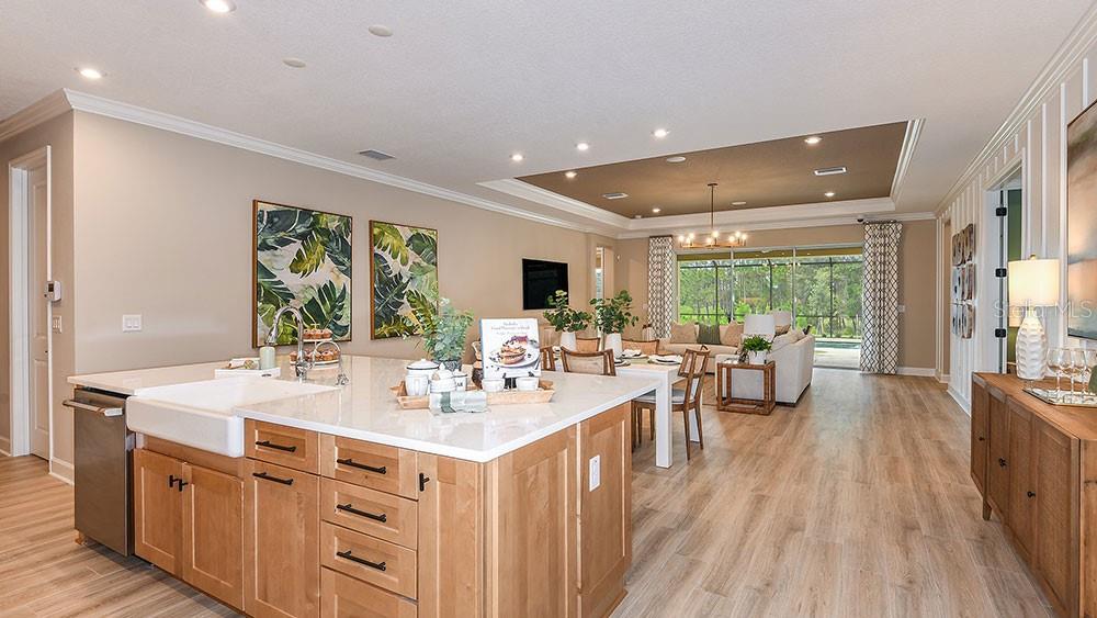 Representative Photo