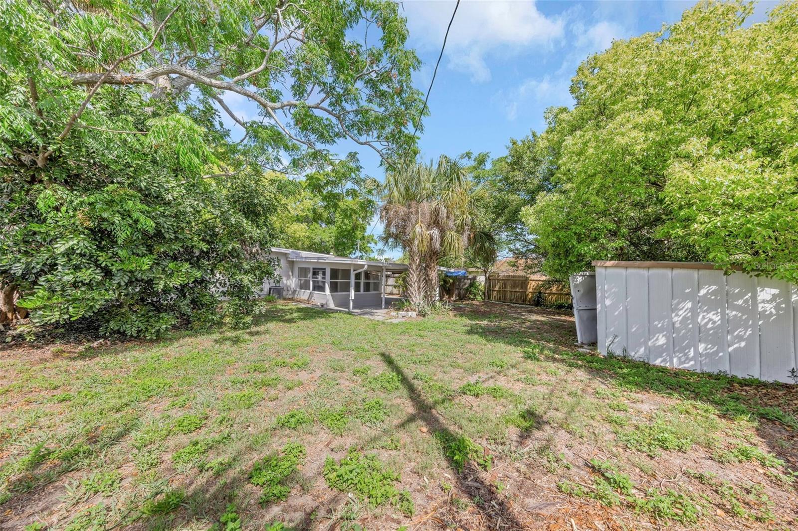 Rear Yard - Reverse View