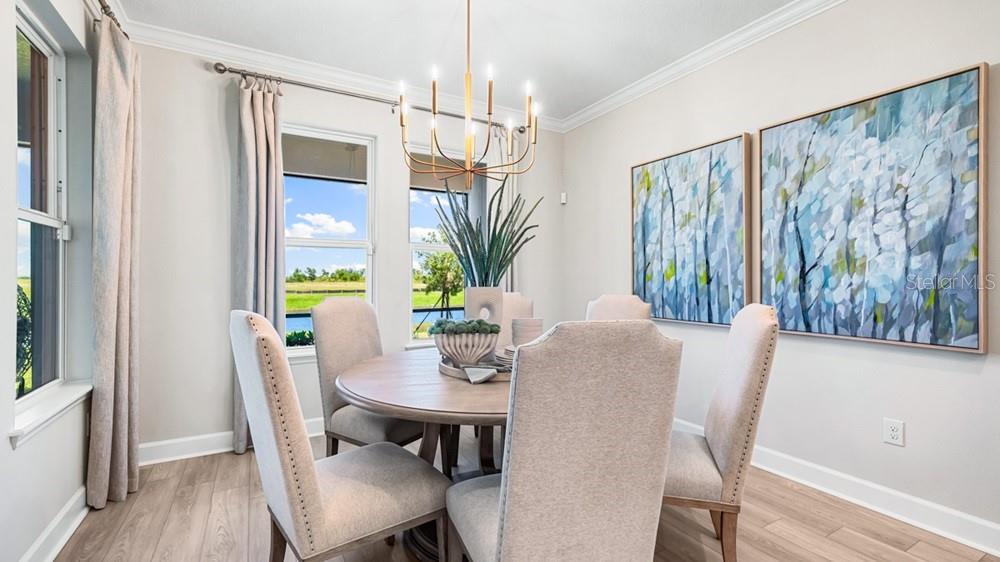 Representative Photo