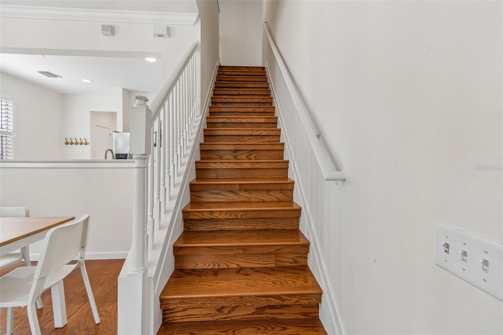 NO CARPET