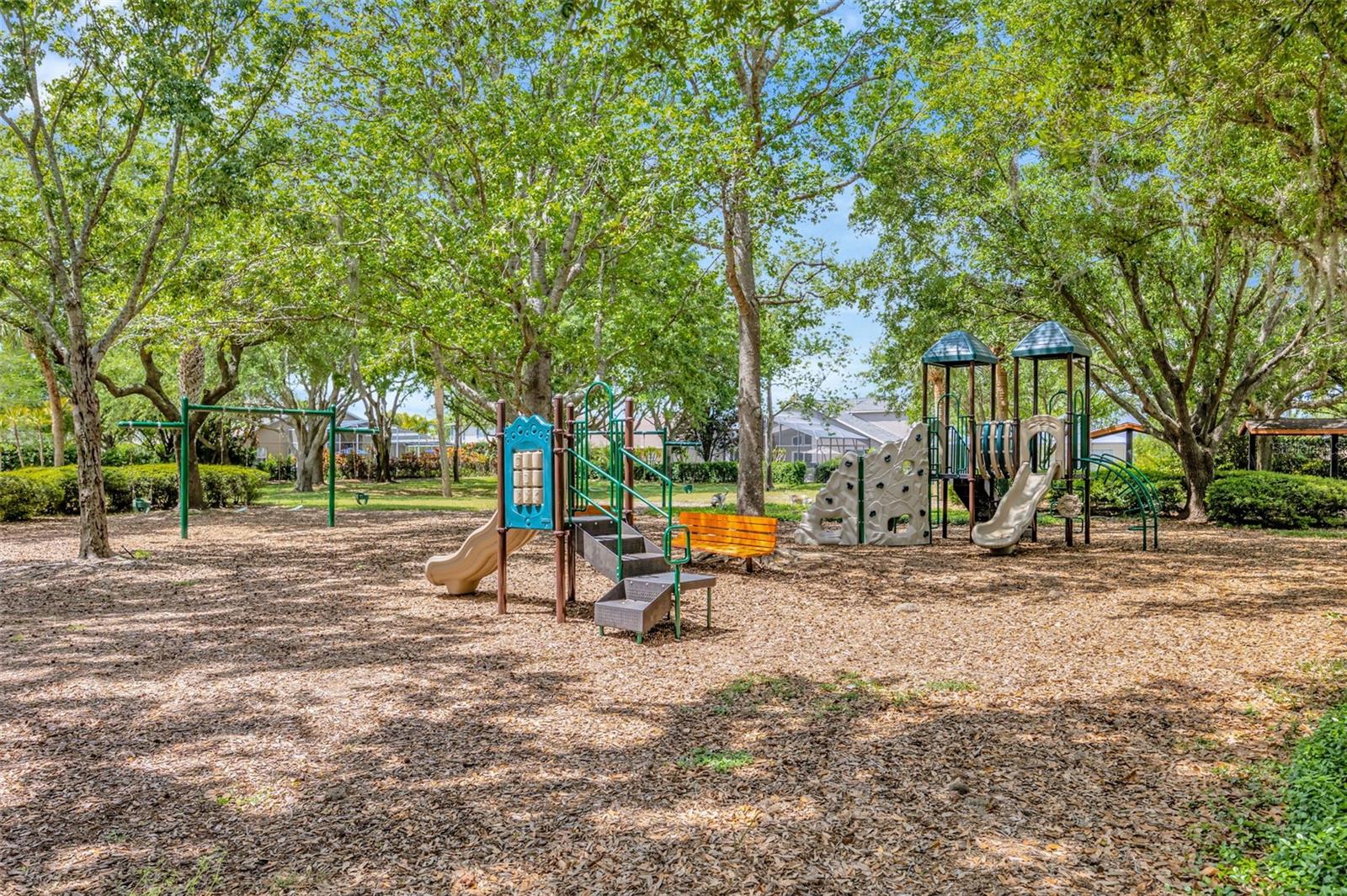 Fox Wood Playground 2