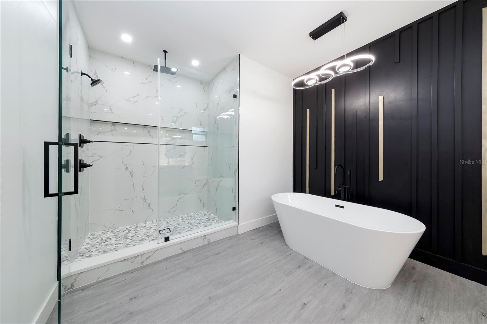 Master Bathroom Tub and Shower