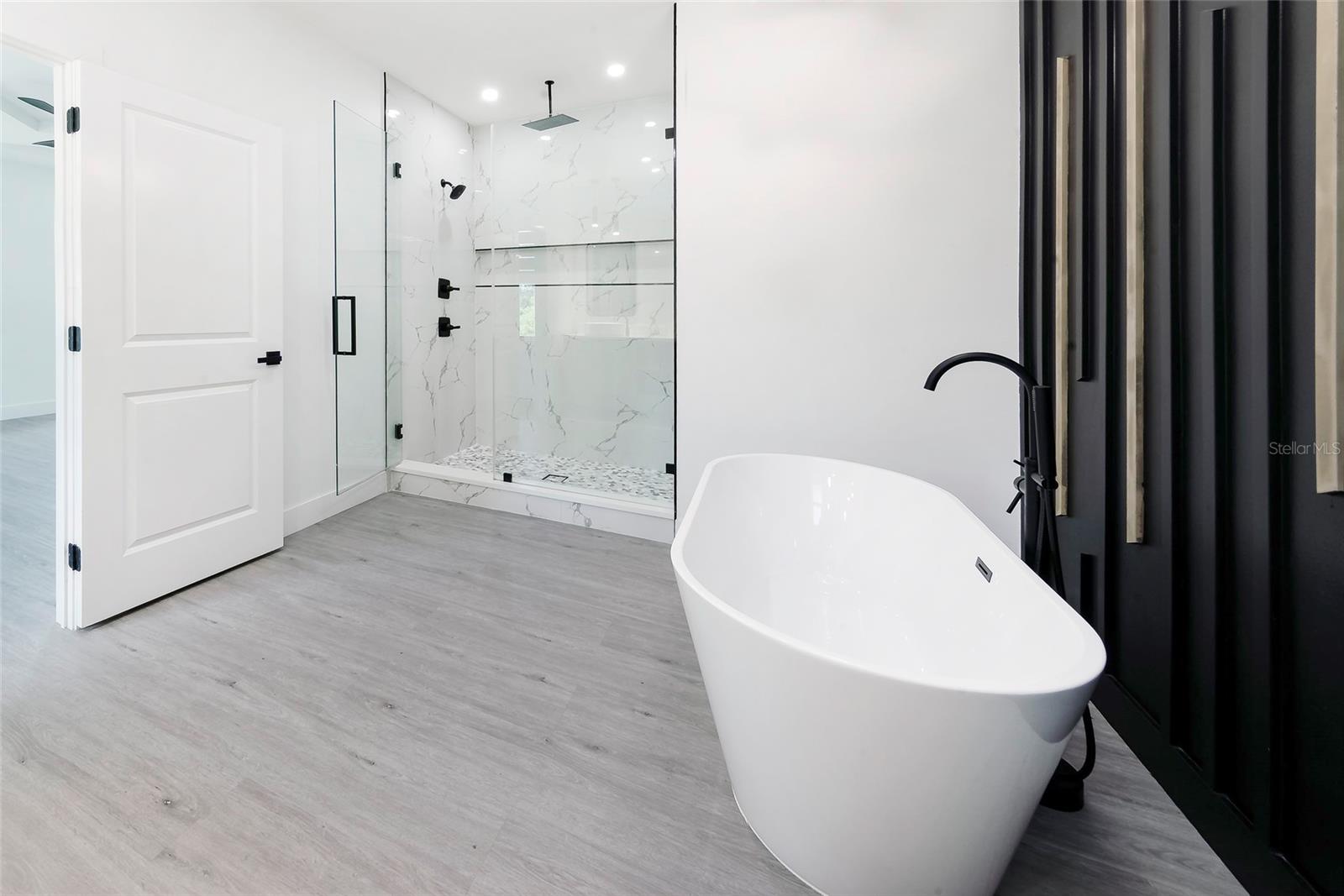 Master Tub and Shower II