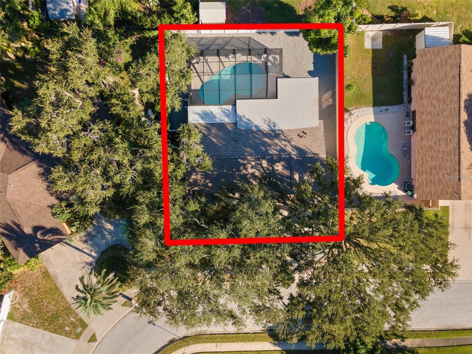 Trees give you some nice privacy!